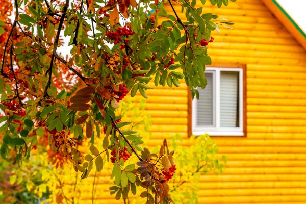 Cost of Garden Window Replacement in League City